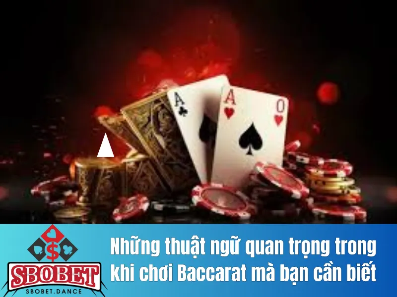 chơi Baccarat